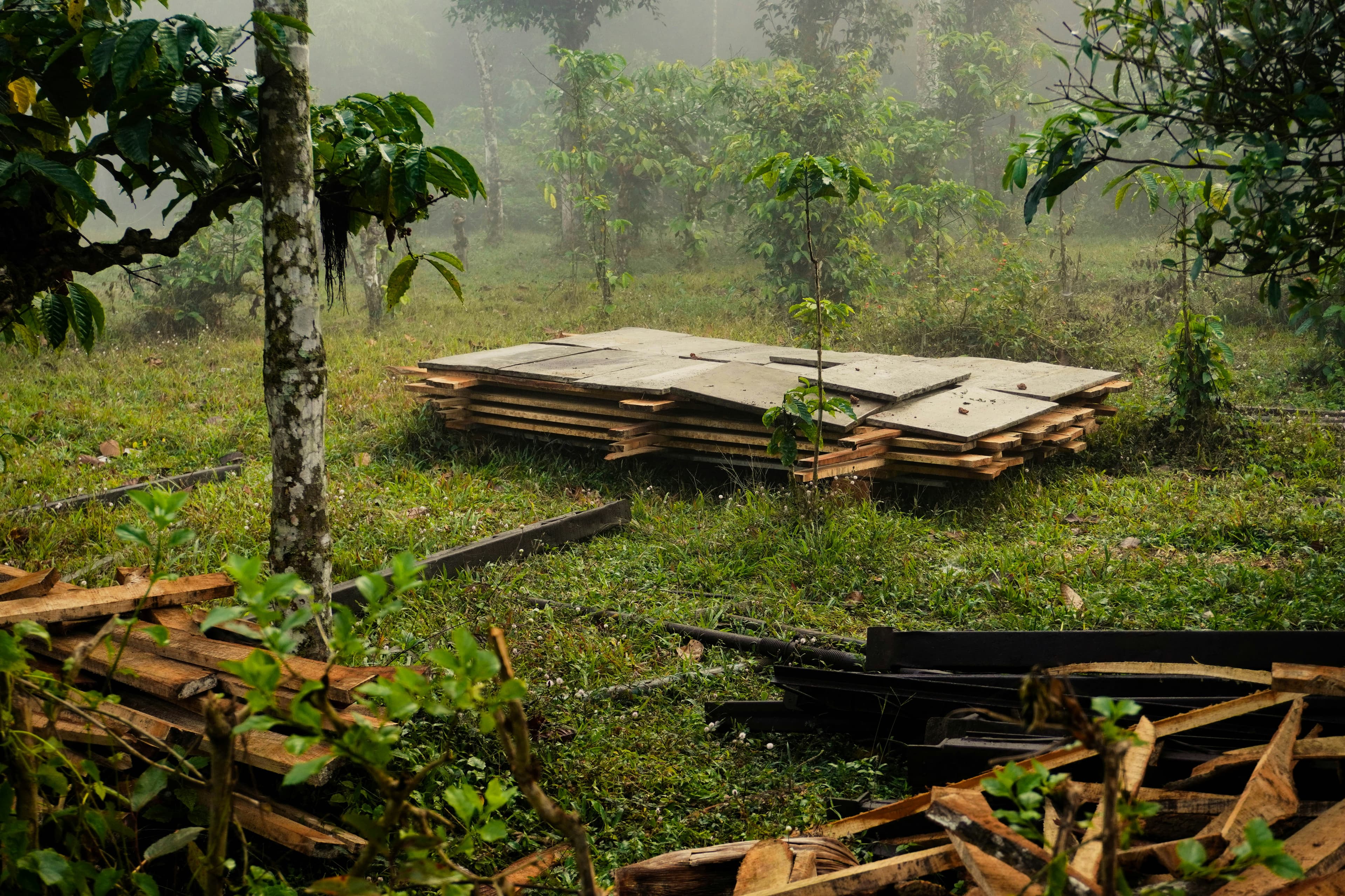 Modern Residential Garden